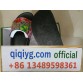 qiqiyg.com Official 2025 Hot Sale Wholesale Fashion Whatsapp:+8613489598361 QQ138